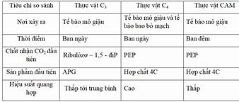 Bảng Thực Vật C3 C4 Cam