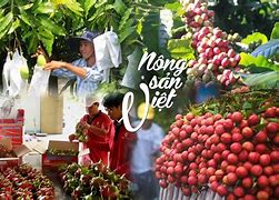 Các Mặt Hàng Nông Sản Ở Việt Nam