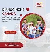 Các Ngành Học Của Canada Có Khó Không 2024