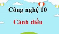 Căn Cứ Lựa Chọn Nghề Nghiệp Cho Bản Thân