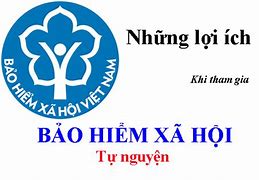 Chính Sách Tham Gia Bảo Hiểm Xã Hội Tự Nguyện