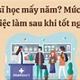 Học Dược Thì Học Khối Nào