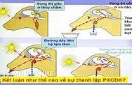 Phản Xạ Có Điều Kiện