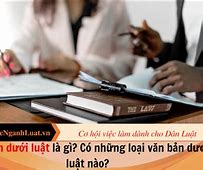 Văn Bản Luật Là Loại Văn Bản Do